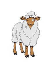 Schaf Weide fressen freundlich grashalm Herde süß lieb Wolle pulli Nutztier grasen witzig 3c