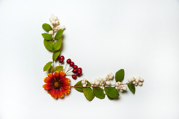 Autumn composition. The border is made of branches of Symphoricarpos albus, red flowers and hawthorn berries on a white background. Isolated.