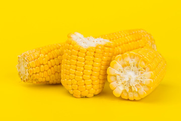 Fresh yellow sweet corn on yellow