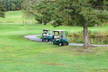 Two golf carts on the manicured golf course