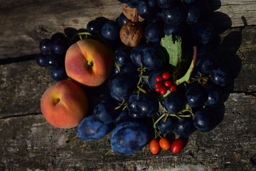 fresh berries on a green background