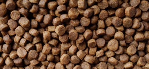 Dryed food for cats and dogs. Panoramic background texture.