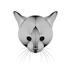 Vector illustration of cat on white background.