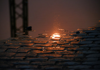 Sonnenuntergang Spiegelung Pfütze Pflaster Mast Sonne Reflekton Wasser Hintergrund Reflex...