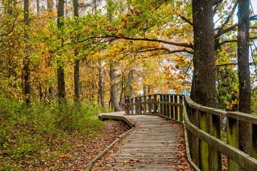 Obraz premium Wooden walkway in Juniper Valley in autumn