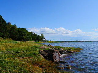 Fototapeta na wymiar rocky shore of the lake, summer landscape, Finland