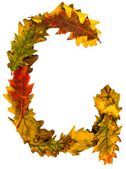 October. Text made by autumn leaves. English alphabet. Oak foxes. Font for design. Natural colors. Natural nature shot. Autumn design. True natural beauty.