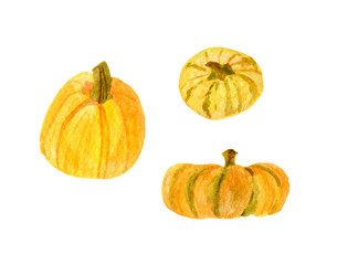 Hand drawn watercolor pumpkin collection. Set of three yellow, orange and green pumpkins isolated on white background