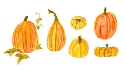 Pumpkin set. Includes six hand drawn watercolor pumpkins isolated on white background. Collection of green, yellow and orange various shape gourds