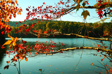 lake in autumn forest