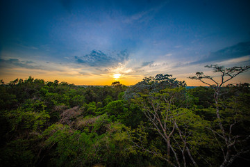 Sunrise from birdwatching tower - Amazon