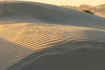 Fototapeta na wymiar Sand ripples in the dunes of Magdalena Island, Baja California Sur, Mexico at sunset.