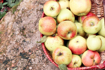 Ripe apples in a basket close-up on the gray background. Autumn and healthy food concept.