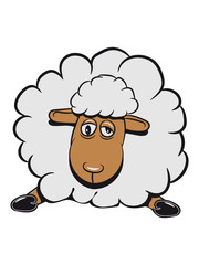 Schaf Weide fressen doof Herde hingefallen Wolle Nutztier grasen witzig 3c