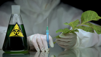 Ecologist holding syringe and plant, flask with biohazard liquid on table, toxin