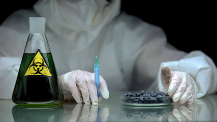Lab worker with syringe and blueberry, flask with biohazard liquid on table