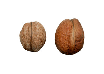 two walnuts