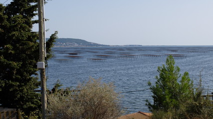 Fermes conchylicoles au bord de la lagune de Thau
