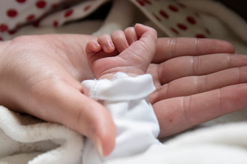 Hand in hand with mother son son in an act of tenderness. The newborn gets in touch with his mother through body contact.