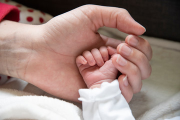 Hand in hand with mother son son in an act of tenderness. The newborn gets in touch with his mother through body contact.