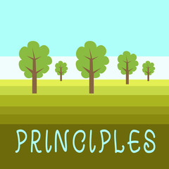 Writing note showing Principles. Business concept for fundamental truth that serves as the base for a system of belief Outdoor Landscape Nature Wooded Area Verdant Grass Blue Unclouded Skies