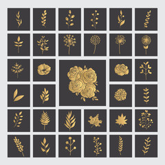 Hand Drawn Collection of Golden Florals. Gold leafs, herbs and flowers.