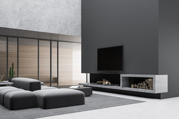 Gray and wooden living room with fireplace and TV