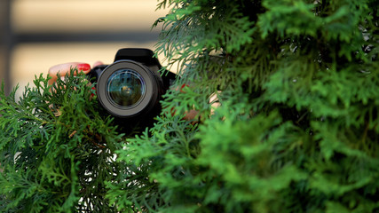 Female hands holding camera behind trees, private detective investigation