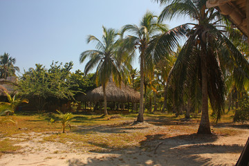Fototapeta na wymiar Cabin at the beach by Baru in Colombia next to Cartagena