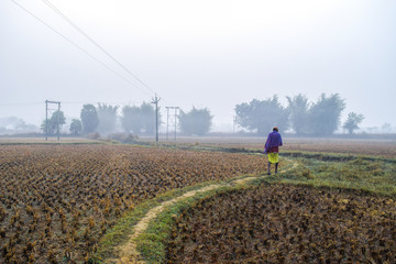 Winter walker walking through foggy field in the morning