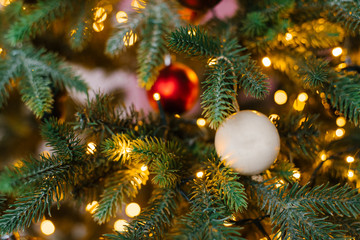 Obraz na płótnie Canvas Christmas ball on the Christmas tree on the background of glowing lights