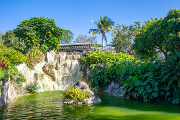 Panoramic of Botanical garden with waterfalls