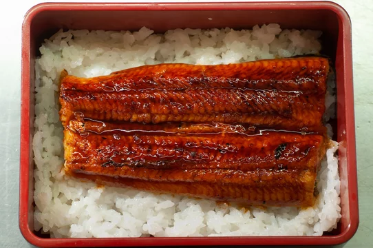 Bol d'anguille unagi sur riz - Adobe Stock
