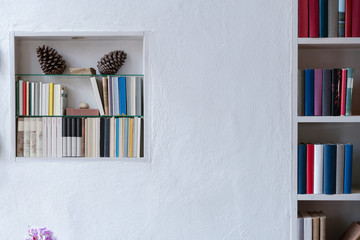 white wall with stylish bookshelf