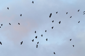 Cloudy sky pattern,photo