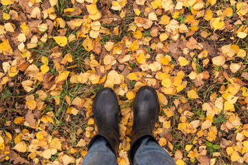 Autumn fall concept with yellow leaves and rain boots outside