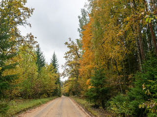 Fototapeta na wymiar autumn landscape with beautiful and colorful trees, road, cloudy autumn day