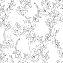 Floral seamless pattern with line gladiolus on white background. Flower print.