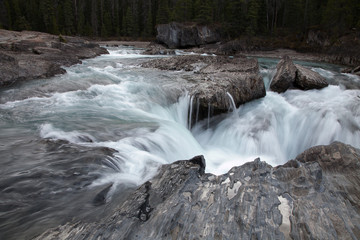 Fototapeta premium Waterfall