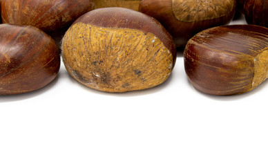 chestnuts on a white background macro photography
