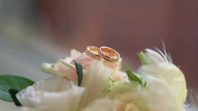 Closeup of gold wedding rings on white rose.