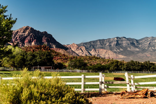 Beautiful view of famous Spring Mountain Ranch State Park near Las Vegas and Red Rock Canyon, Nevada during autumn with pink and red rock mountains, blue sky, green trees and grass, and purple hills