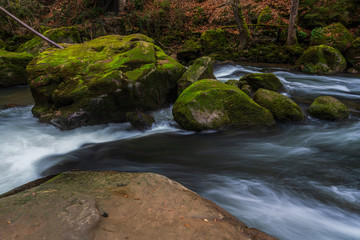 Obraz premium Wodospad w lesie jesienią, wodospady Irrel