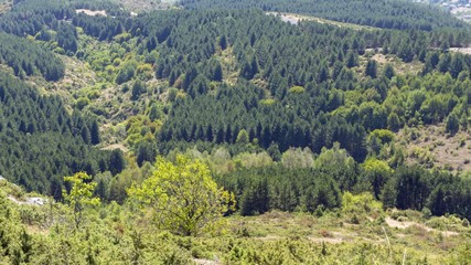 scenic view over skopje from a mountain