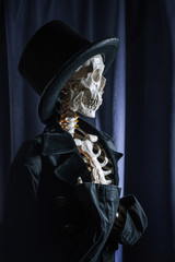 Funny human skeleton in a jacket and bowler hat.