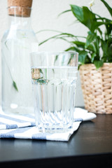 A glass of water with blured bottle and green plant in a pot on the table. Close-up.