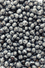 Berry, dark blue, blueberry. Background of a blueberry. Summer concept.