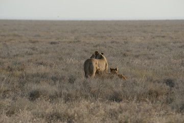 Kenya & Tanzania