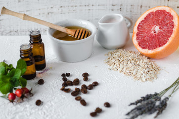 Natural herbal skin care products, ingredients essential oil, mint, aloe, honey, milk, lavender, rosehip, oatmeal and grapefruit. Beauty products ingredients on white background