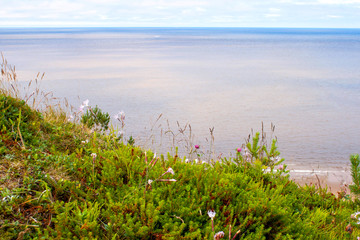 Beautiful panoramic natural view on White sea coast village Vorzogory, Arkhangelsk region, Russia